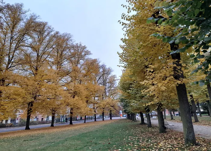 Romania Karlovy Vary