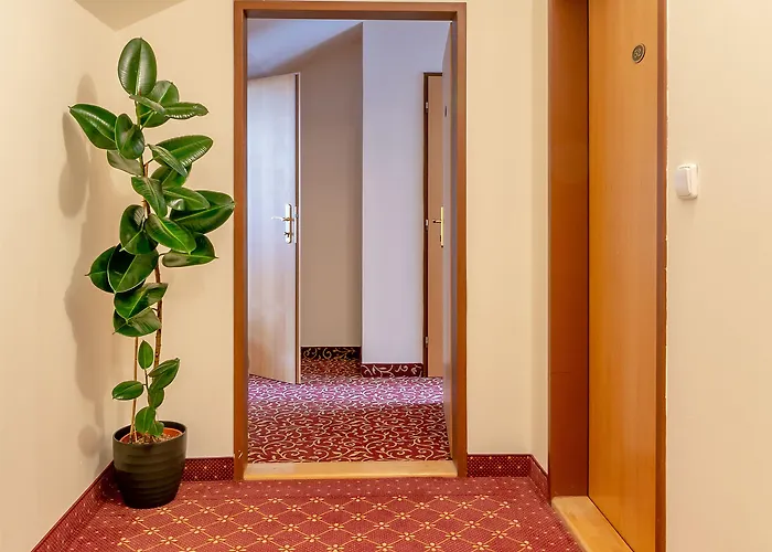 Romania Hotell 3*